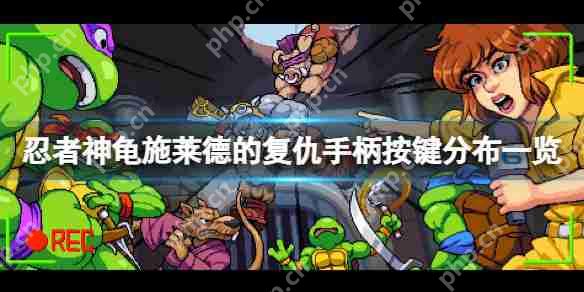 忍者神龟施莱德的复仇手柄按键分布一览