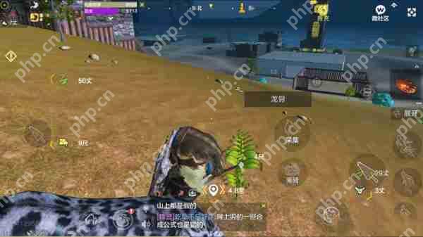 妄想山海龙骨草采集攻略